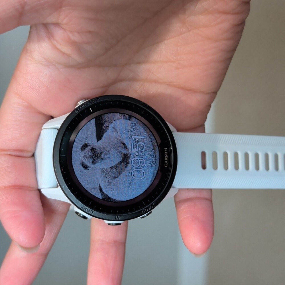 Touchscreen Garmin Solar Forerunner 955 Smartwatch